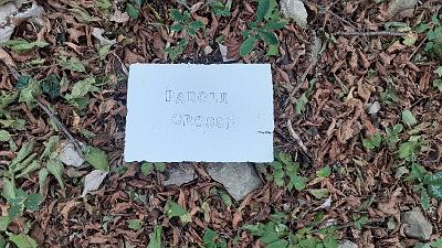 PAROLA PER PAROLA (6)